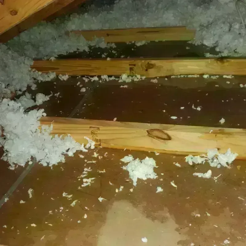 Attic Water Damage in Fairfax, SC