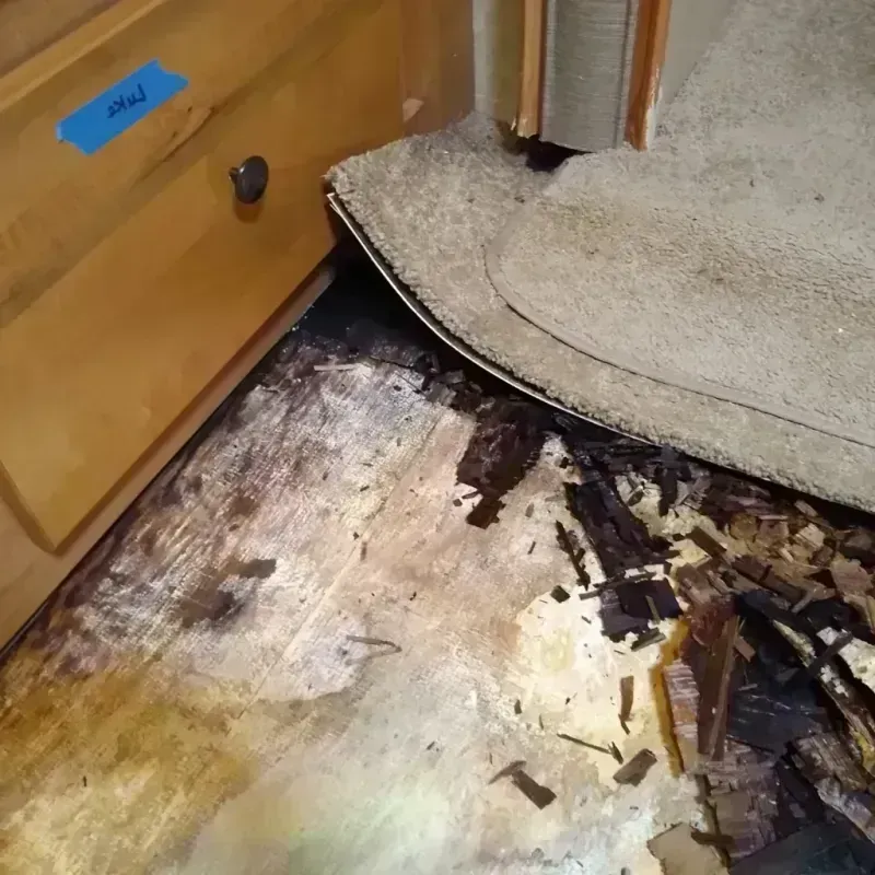 Wood Floor Water Damage in Fairfax, SC